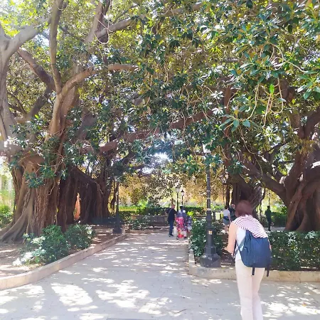 Delos E Artemide Syracuse